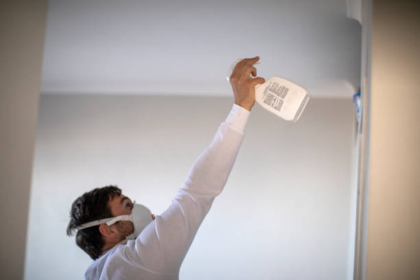 Best Toxic Mold Removal  in Prospect, KY